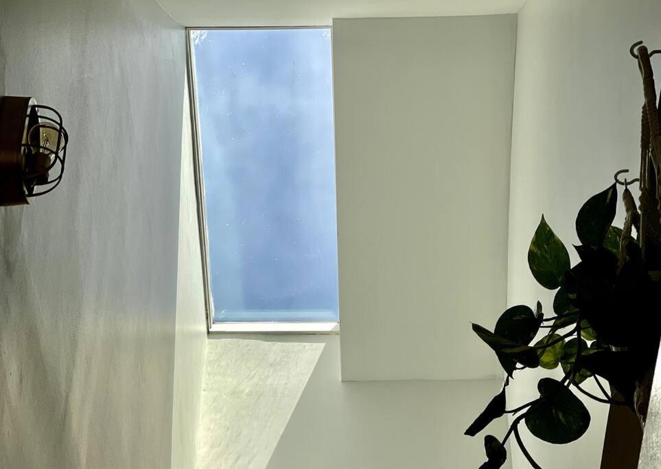 Apartmán Deal For A Great Vacation Nashville Exteriér fotografie